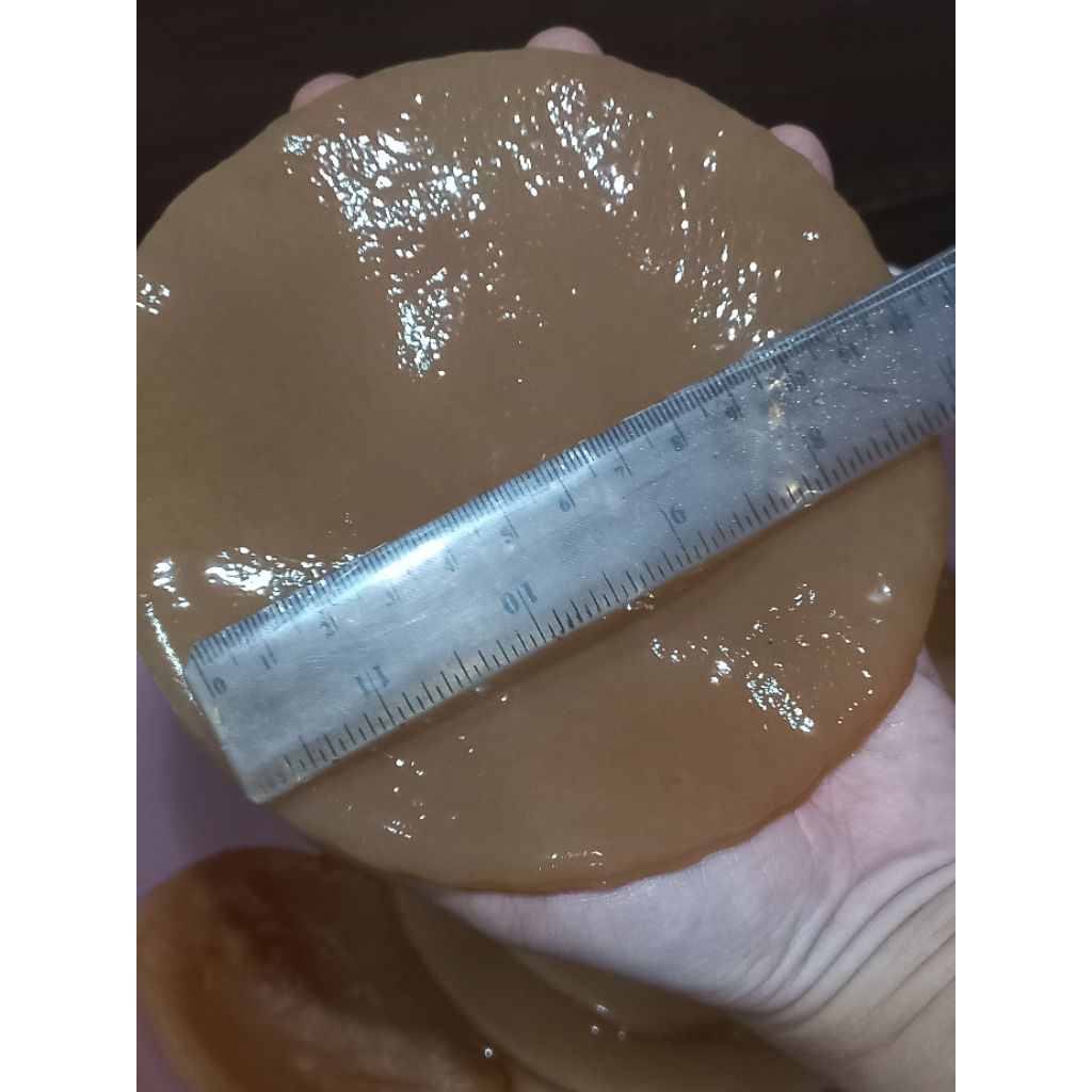 

Scoby kombucha D: 9cm - 12cm, free starter 500ml