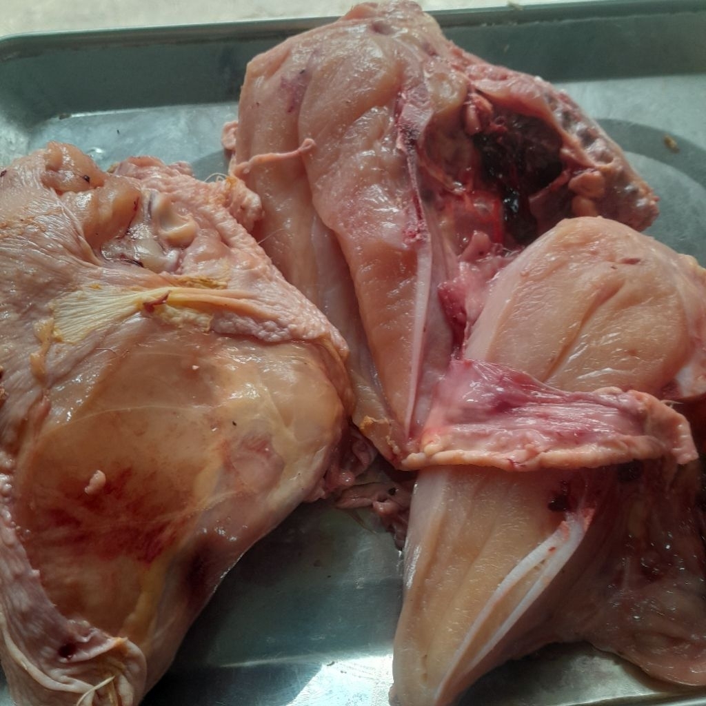 

dada ayam broiler 500 gram