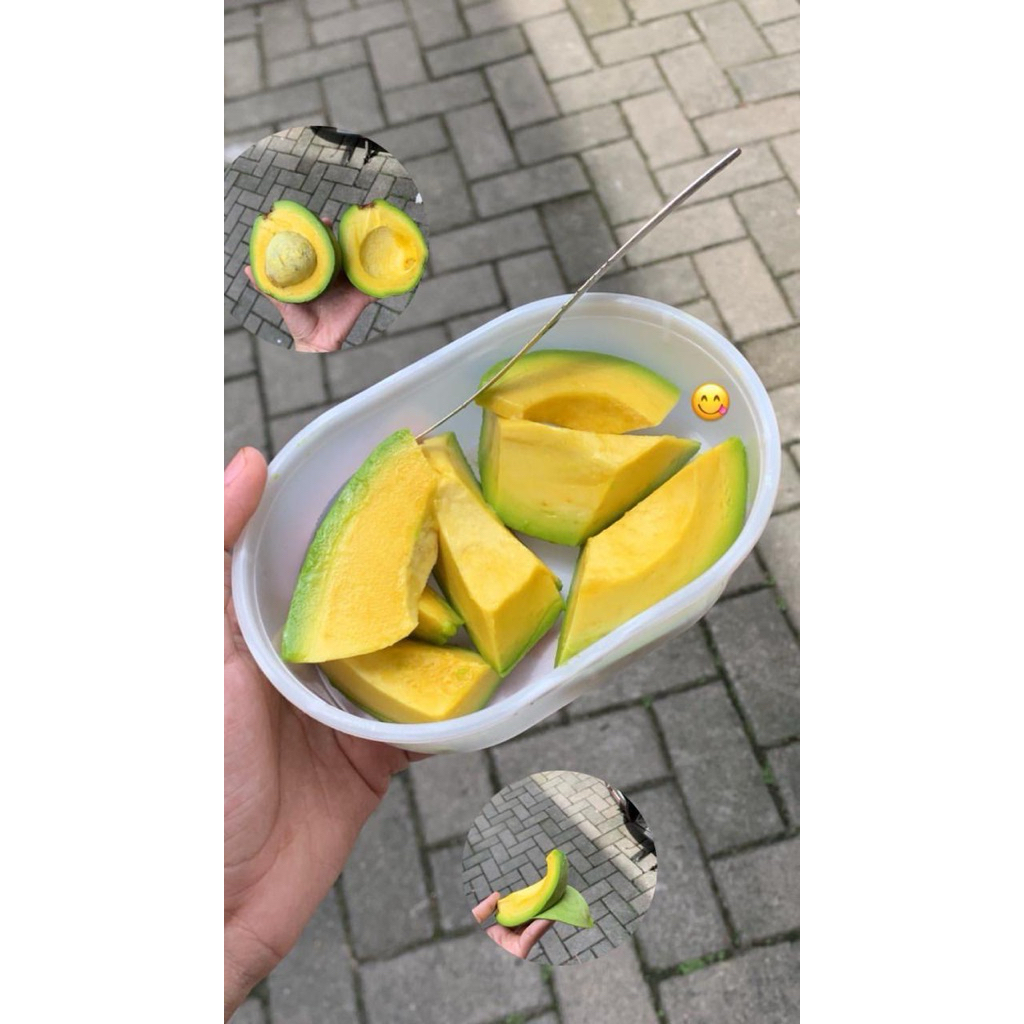 

Alpukat Miki Mentega 25k/kg