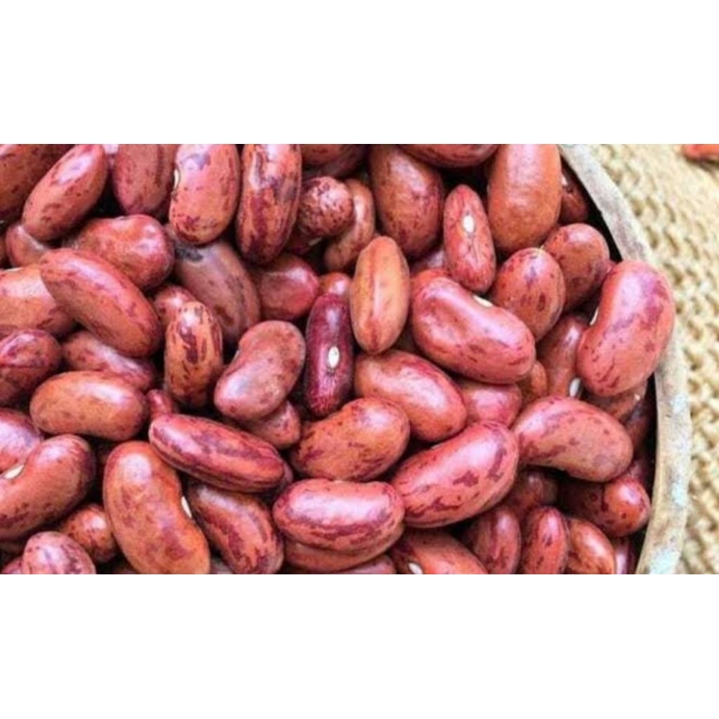 

kacang merah kupas/kering/jogo/es