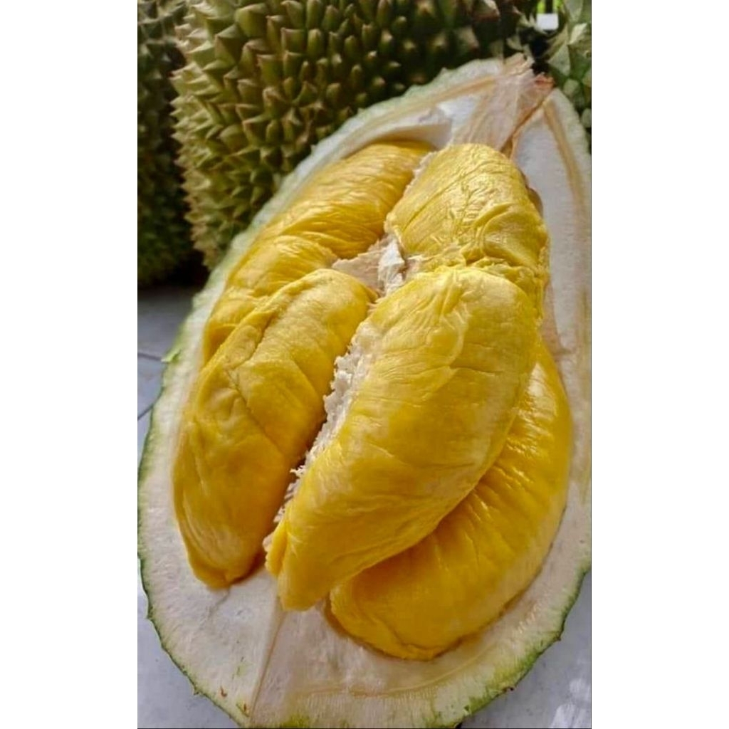 

PROMO!! Durian asli Medan ||BestSelleer||