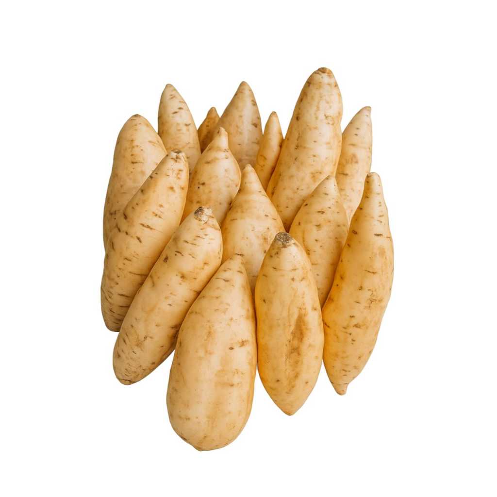 

Ubi Madu Cileumbu ukuran besar 8KG + BONUS ubi kecil 2KG, Manis legit asli dari cilembu Sumedang