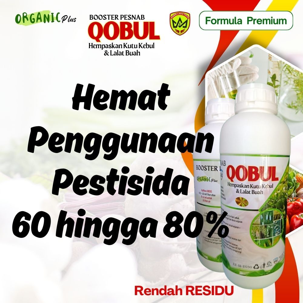 QOBUL - KUTU KEBUL - LALAT BUAH - ANTRAKNOSA - PESTISIDA NABATI