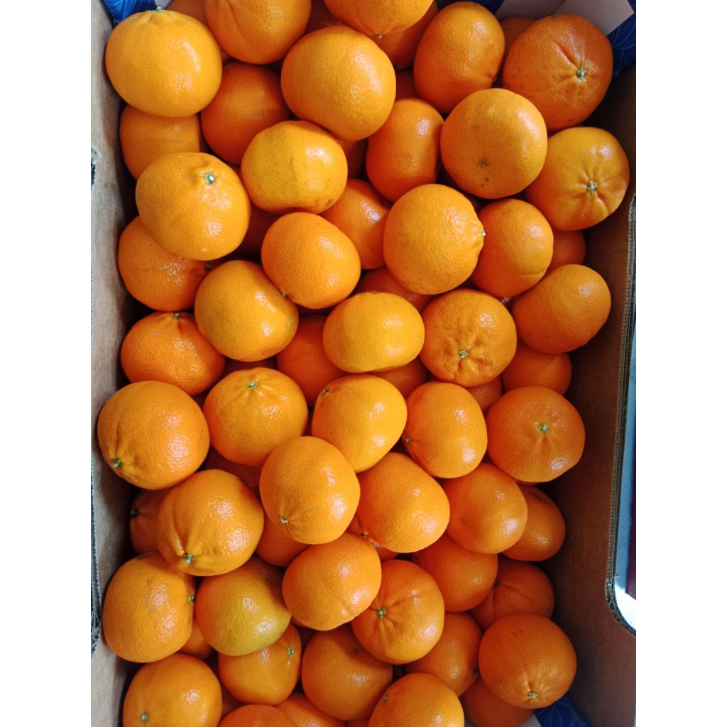 

jeruk affourer 1 kranjang