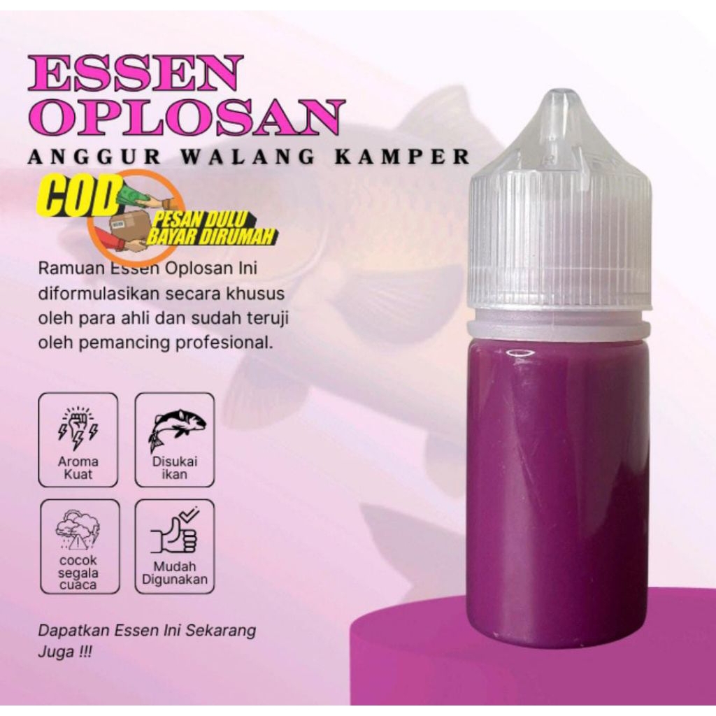 Essen Oplosan Ikan Mas Aroma Anggur Walang Kamper