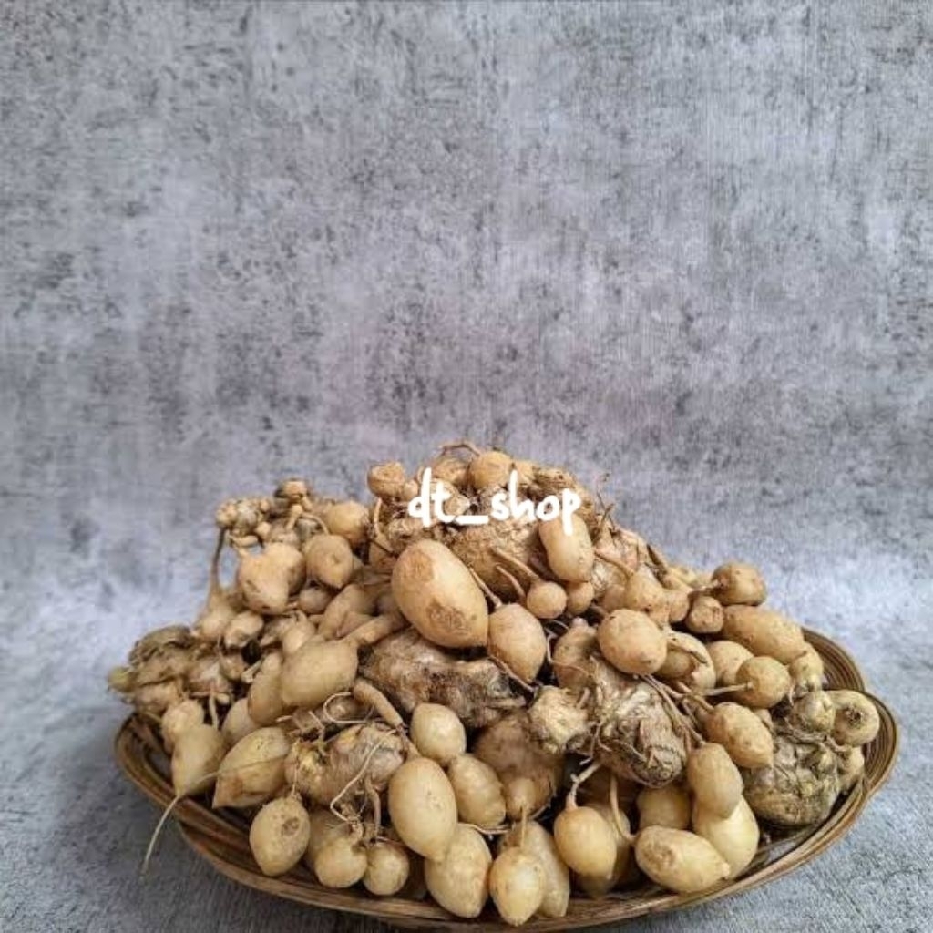 

kunyit gomyok isi 100 gram