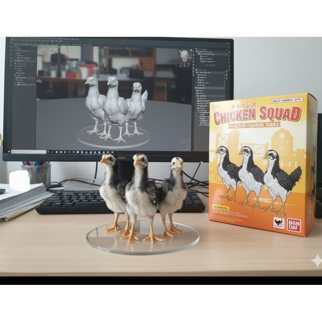 bukan main, Asli pitikan2 pitik bangkok , anakan Ayam bangkok DOC BK 2mingguan