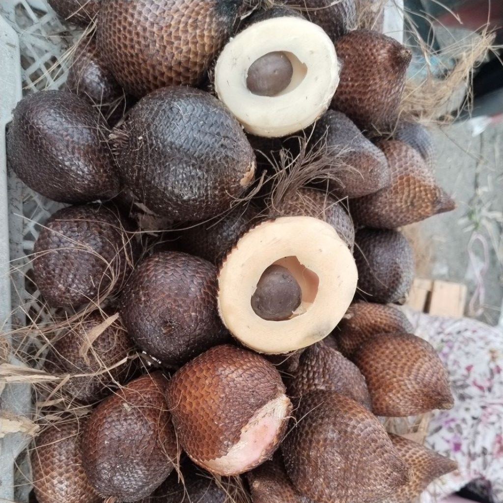 SALAK SIDEMPUAN MANIS "ORIGINAL"