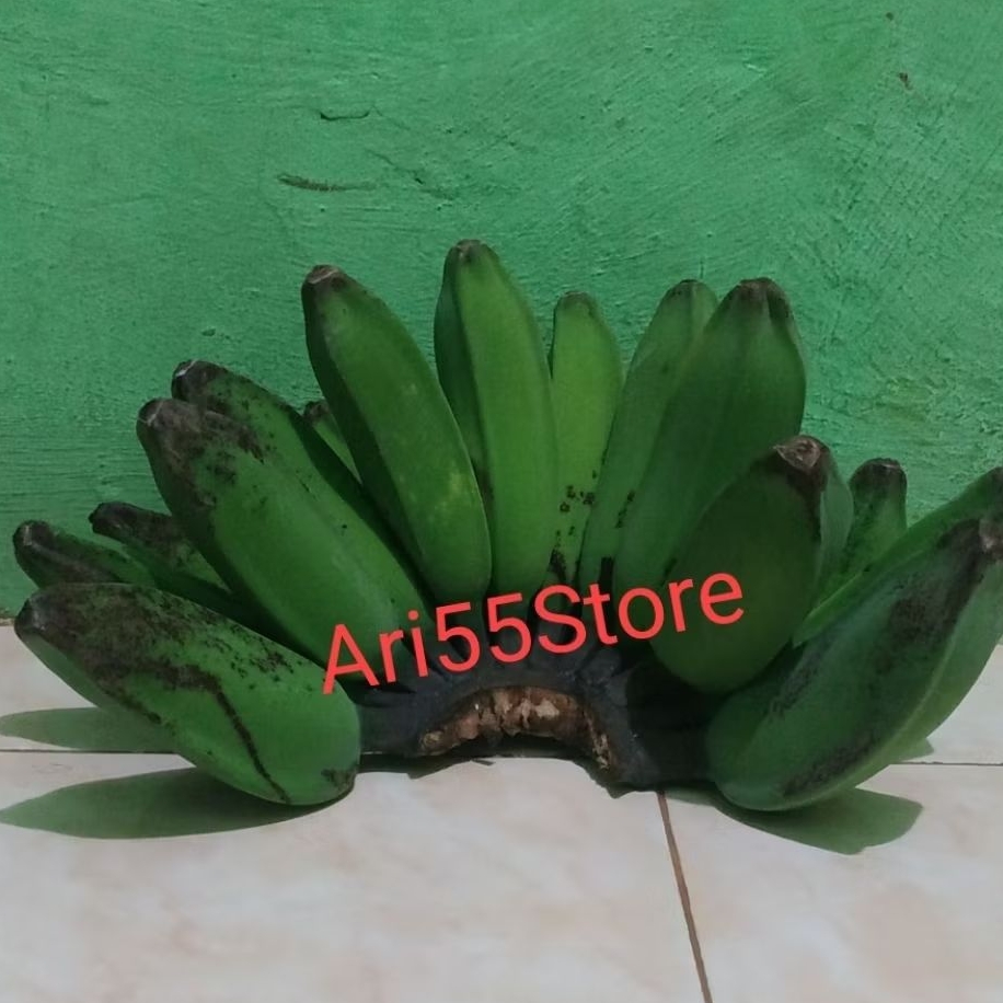 

Pisang Kepok Kuning Persisir Mentah/Matang Buah Pisang Enak dan Manis