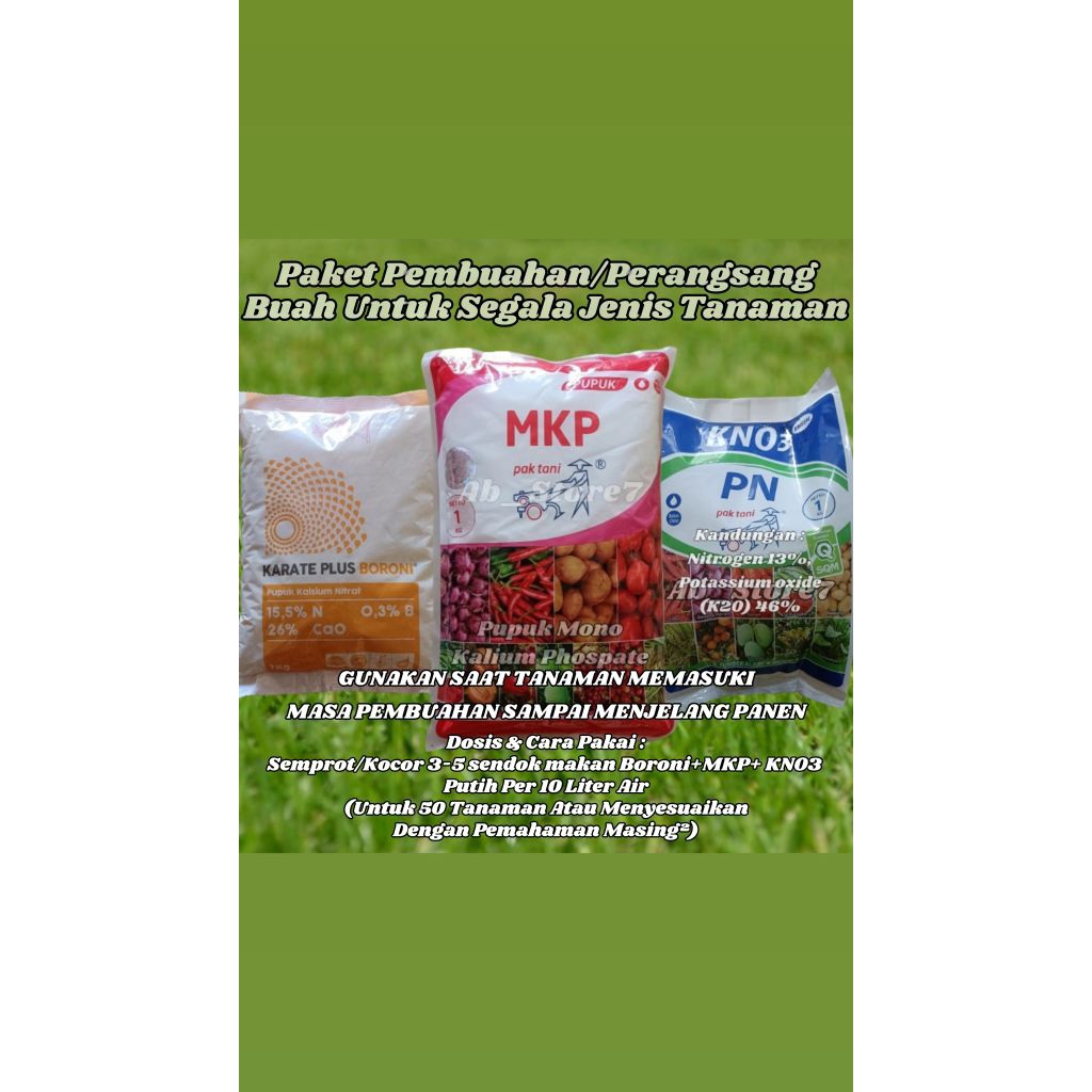 Paket Pupuk Perangsang Buah Boroni+Mkp & Kno3 Putih