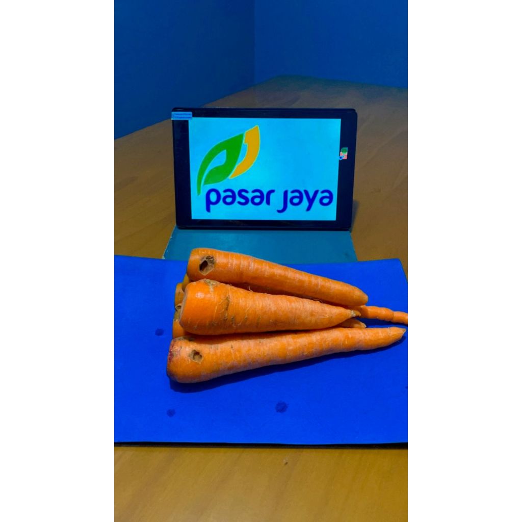 

Wortel Brastagi Kondisi Rijek / Defect Minor Per Ball (10 Kg)