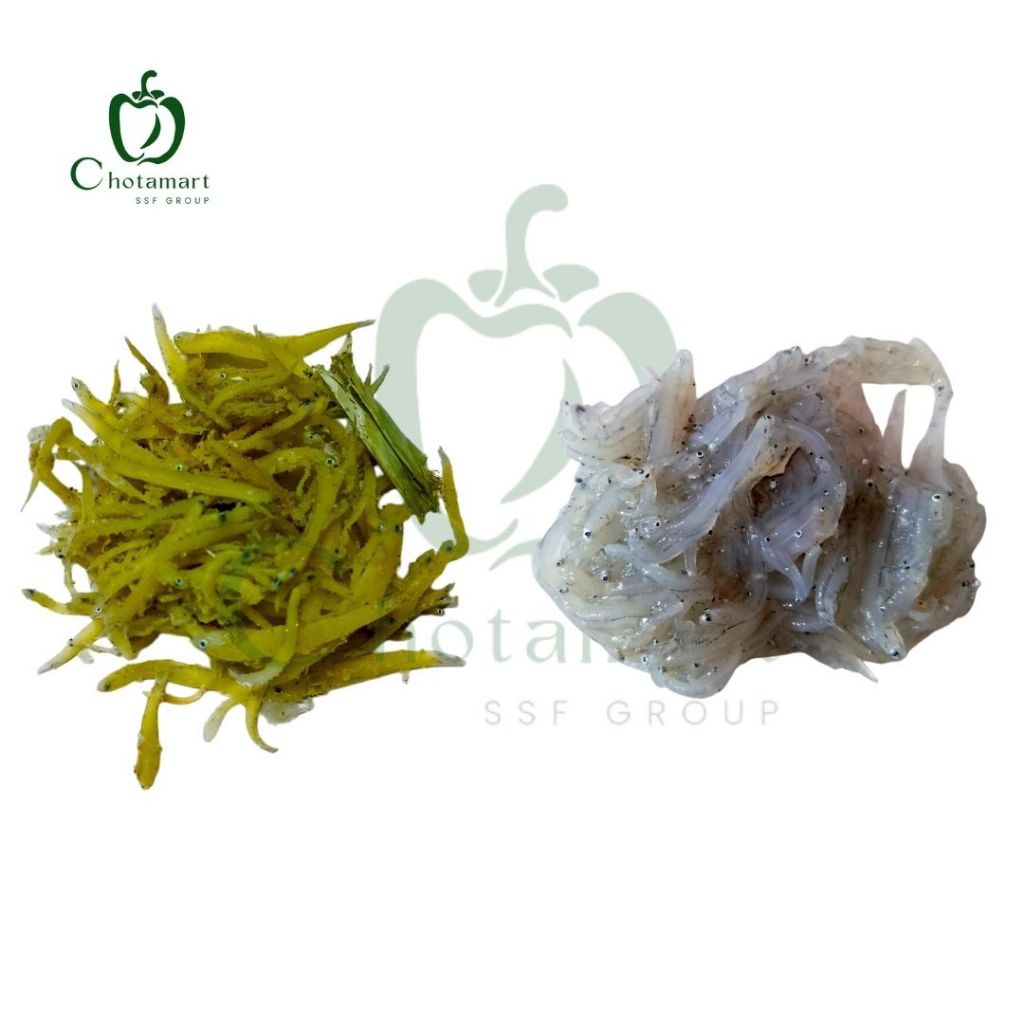 IKAN TERI NASI MEDAN BASAH TERI NASI MEDAN KERING