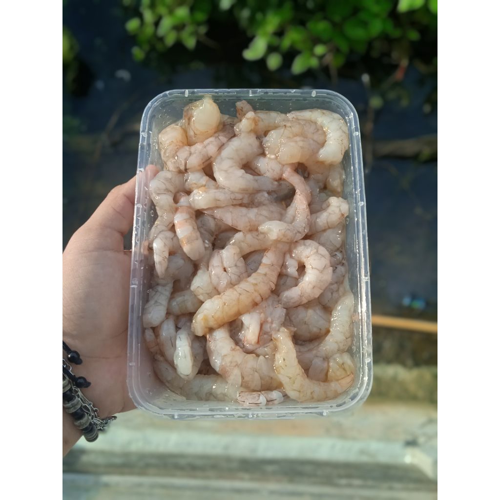 

Frozen Seafood Udang Dogol Kupas/Bersih