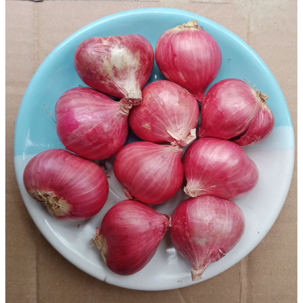 

BAWANG MERAH SUPER JUMBO 1KG