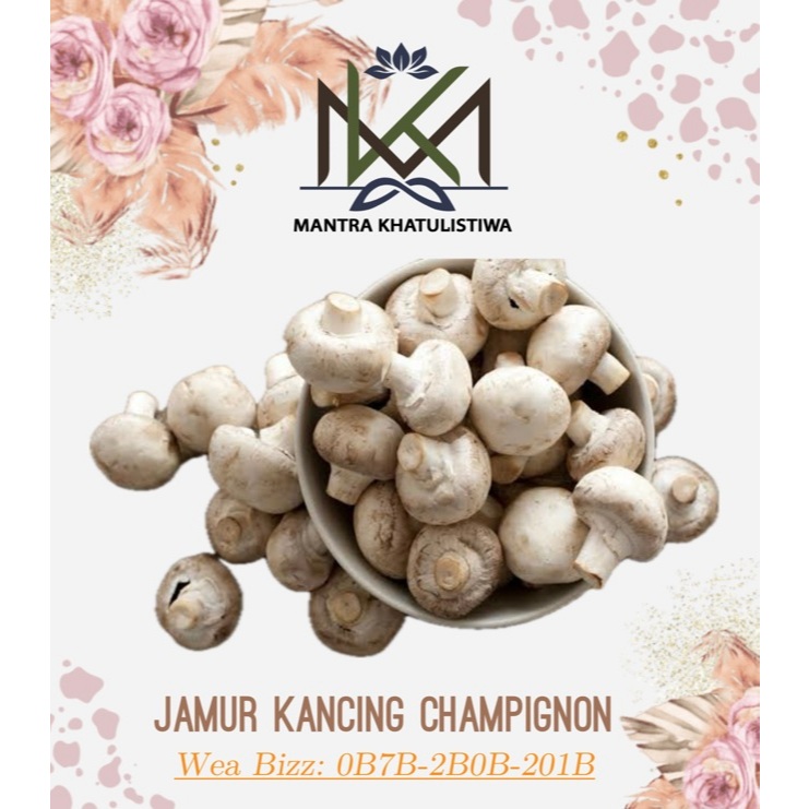 JAMUR KANCING PUTIH SEGAR JAMUR CHAMPIGNON