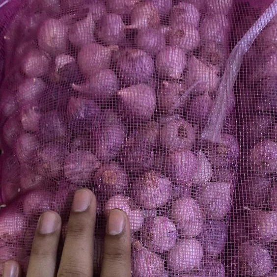 

Bawang Putih Tunggal 1 Kg / 20 Kg Lanang Import Jumbo Medium Sak Karung Ball Segar Fresh Garlic
