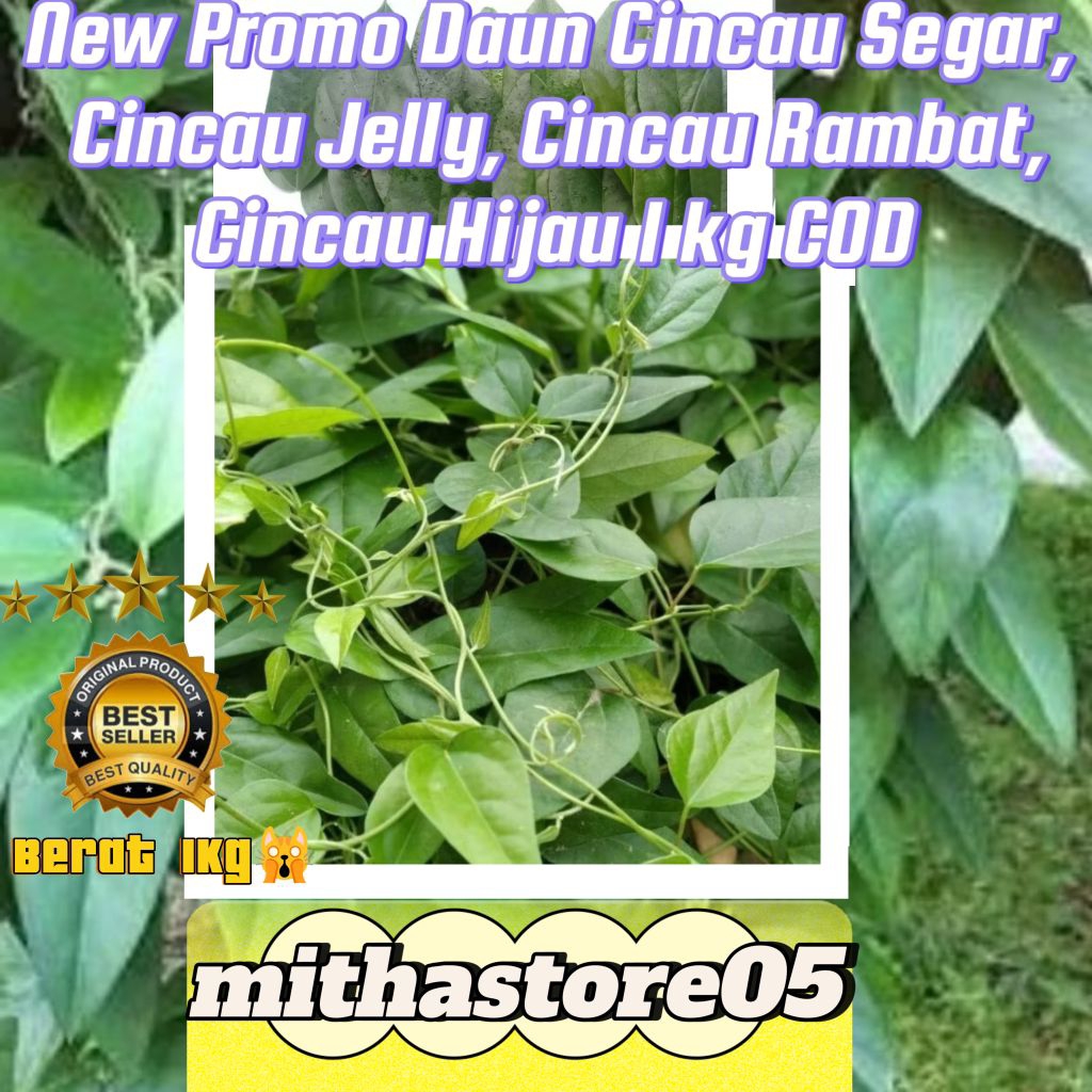 

New Promo Daun Cincau Segar, Cincau Jelly, Cincau Rambat, Cincau Hijau 1 kg COD