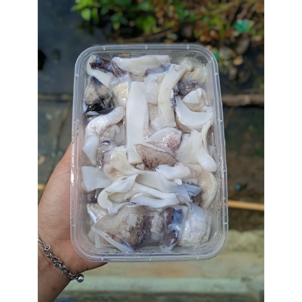 

Frozen Seafood Sotong Kodok/Katak Bersih