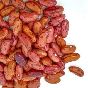

kacang merah kering 500g