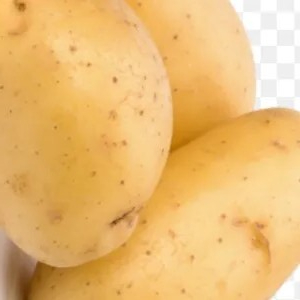 

Kentang Dieng besar 1kg