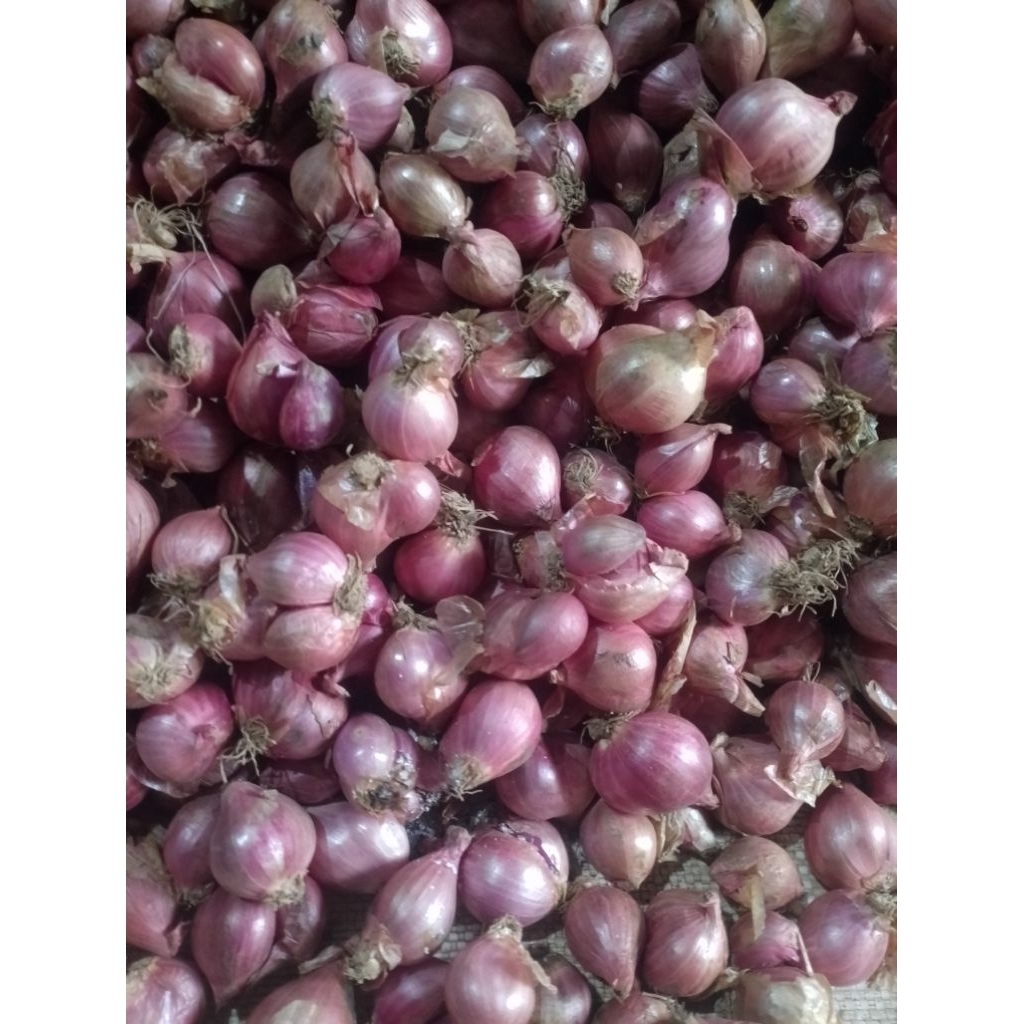 

bawang merah campur 1kg