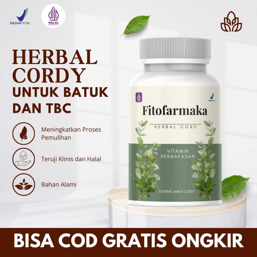 Herbal Cordy Obat Paru Paru Paling Ampvh Obat TBC Batuk Berdarah Sesak Nafas Fitofarmaka Herbal Cina