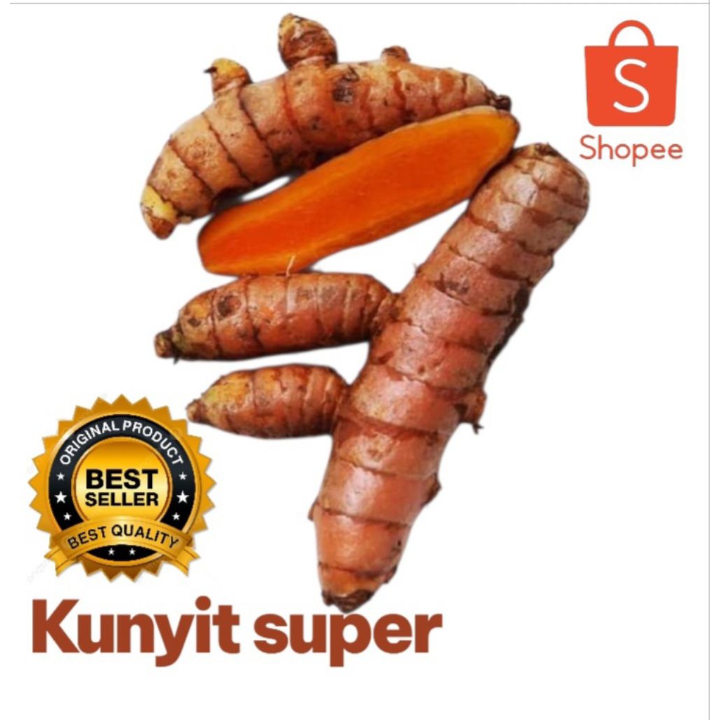 

kunyit segar kiloan cocok untuk makanan jamu kecantikan dll
