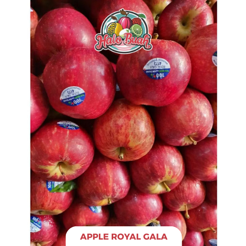 

BUAH Import Appel Royal Gala 1kg