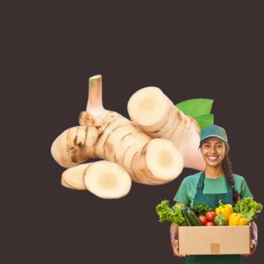 

LENGKUAS BUMBU MASAK REMPAH REMPAH