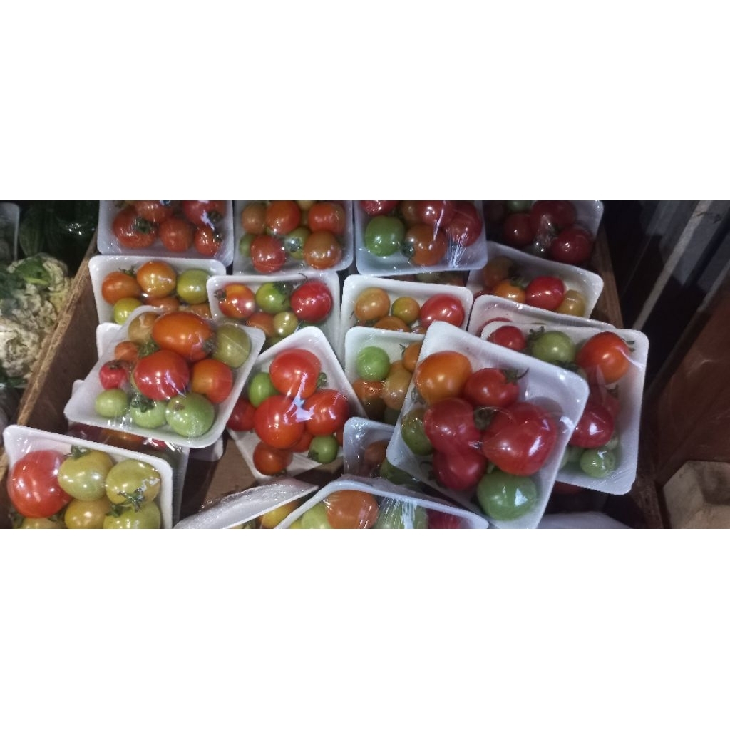 

Tomat Ceri Atau Tomat Anggur per kap
