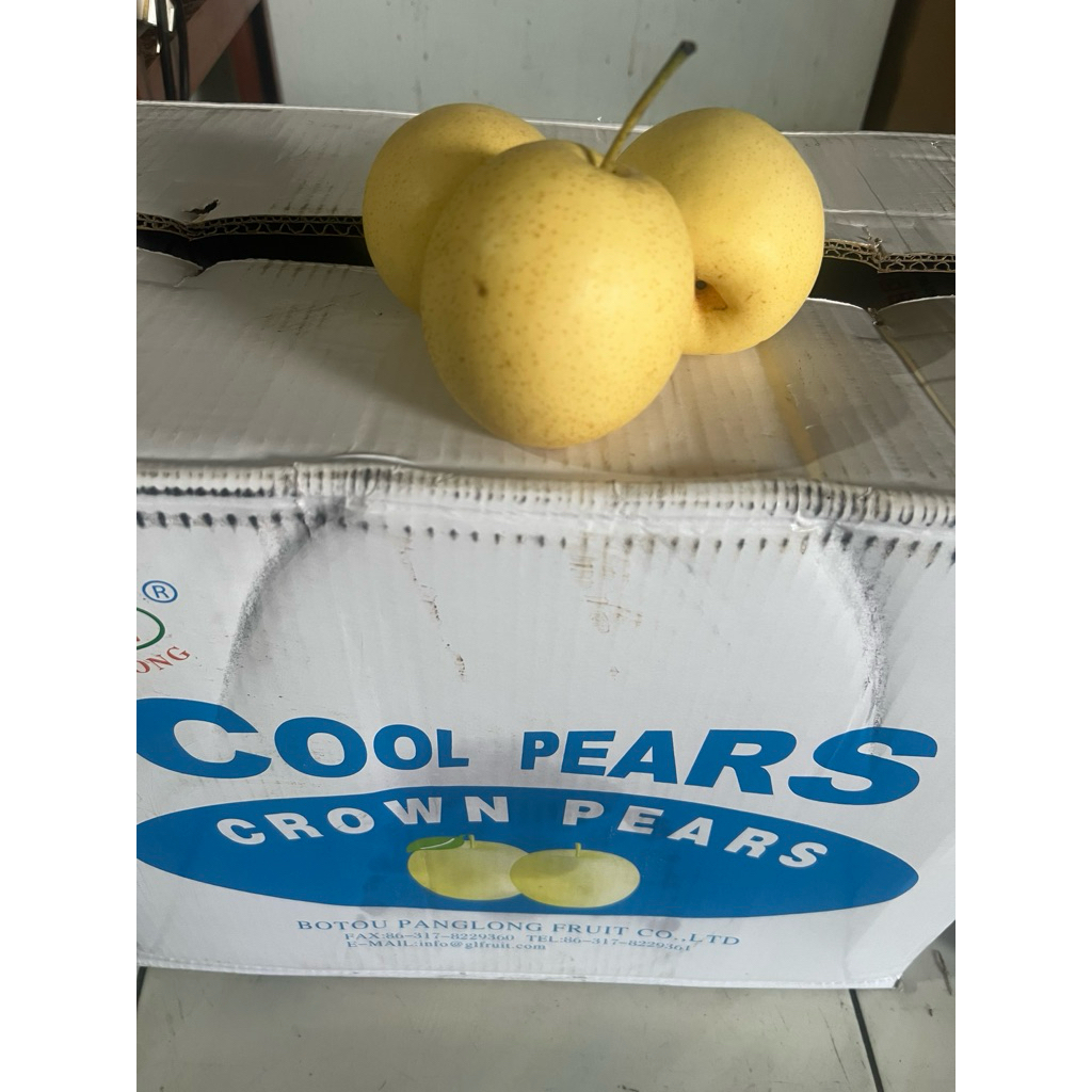 

Pear Century 1 kg ready stock langsung kirim