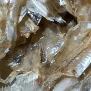 

ikan asin pakang tipis 250g