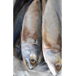 ikan asin peda merah 1kg