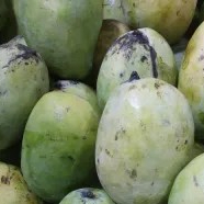 mangga Indramayu (matang) 1kg