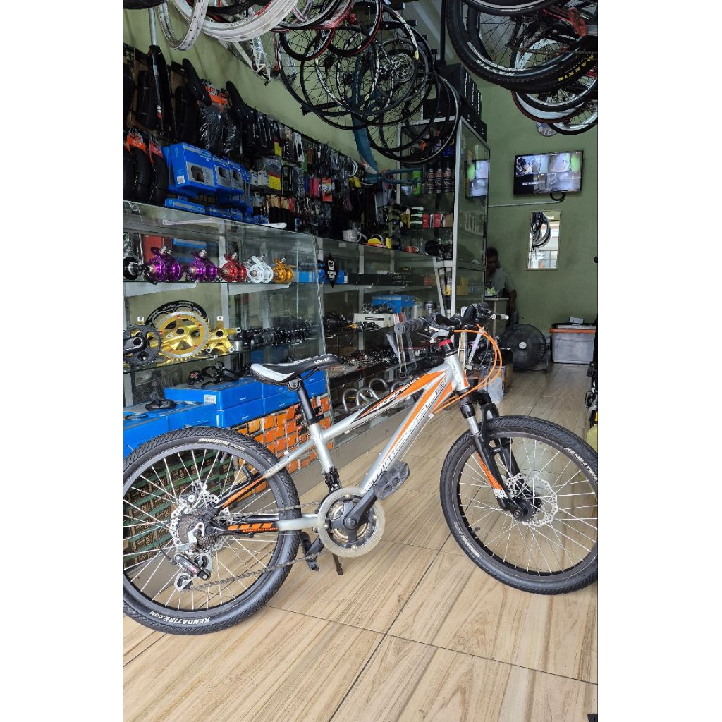 Sepeda Mini Anak MTB Wimcycle Roadtech 20" Inch Alloy Rem Disc Mekanik 7 Speed Shimano Silver Second