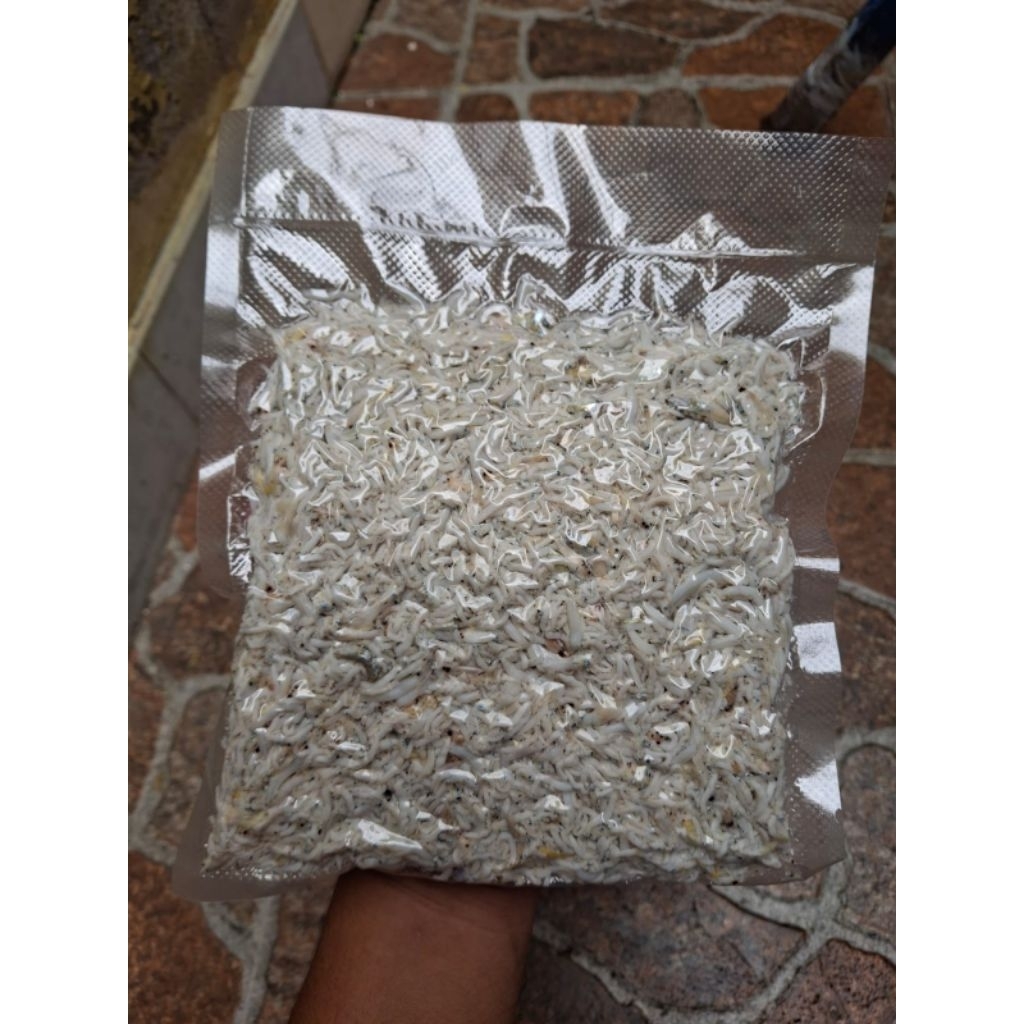 

Ikan teri nasi kasar asli Medan (500 gr)