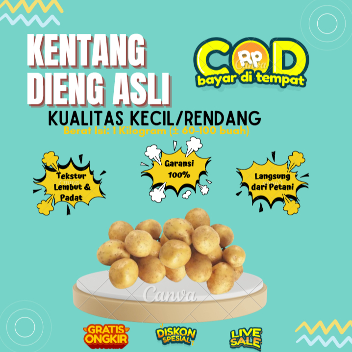 

Kentang Dieng Asli Kualitas Kecil/Mini/Rendang/Rendeng 1 Kg