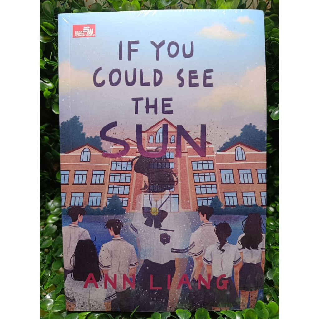 If You Could See the Sun - Ann Liang