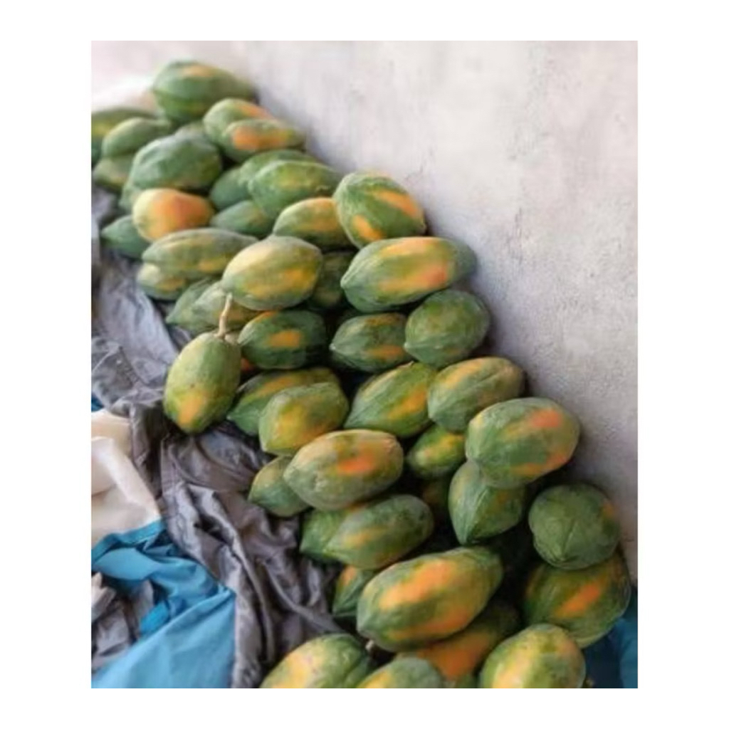 

Pepaya thailand/bangkok