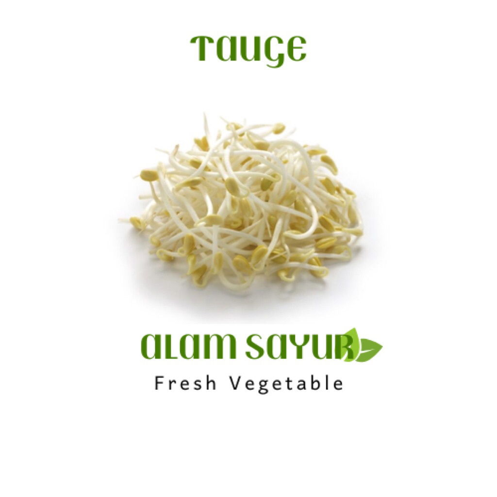 

Tauge - Teman hijau jogja