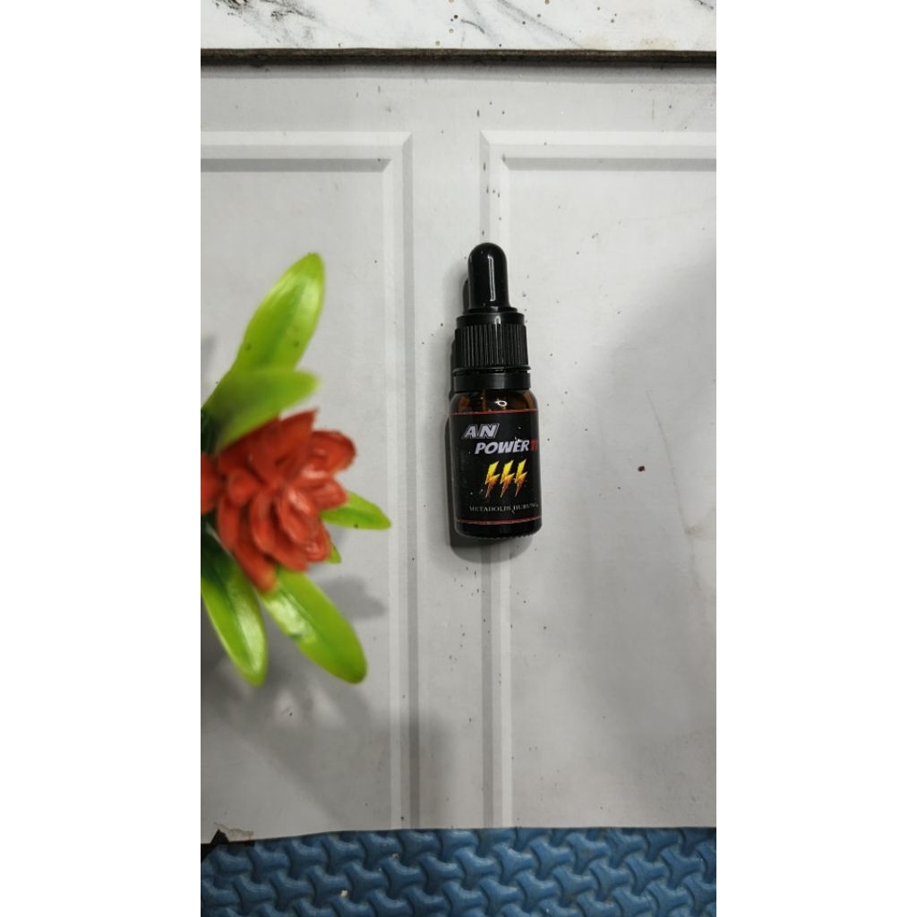 AN POWER 77 metabolis burung
