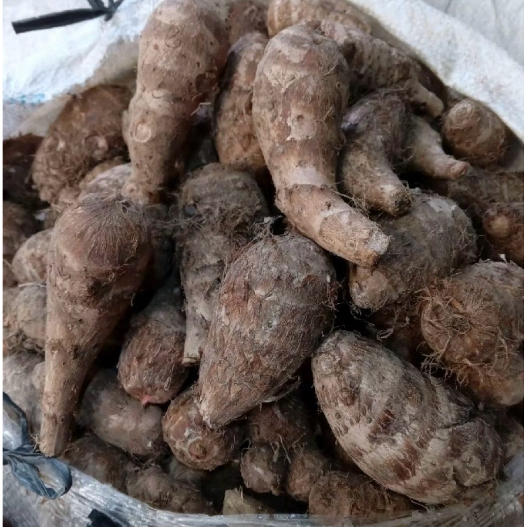 

ubi umbi talas isi 5-9 500grm/1kg