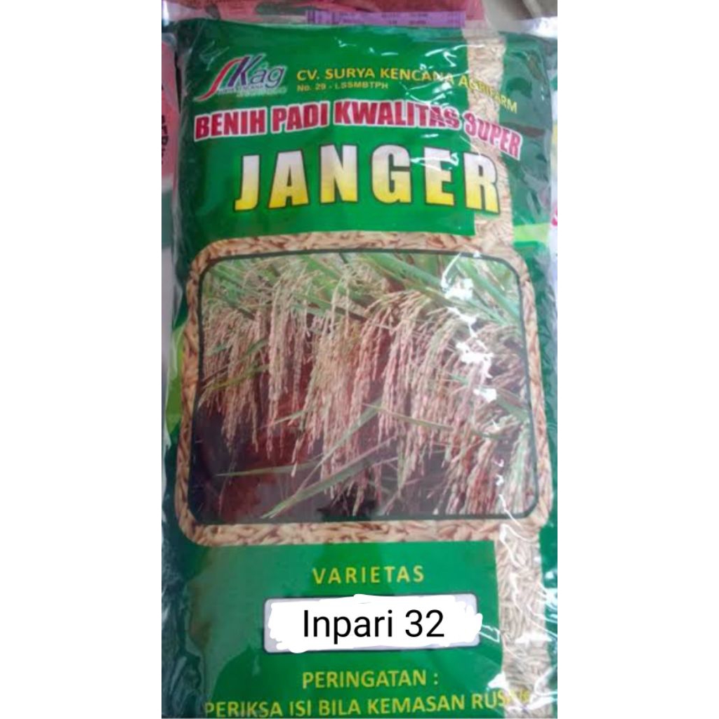 benih padi janger inpari 32