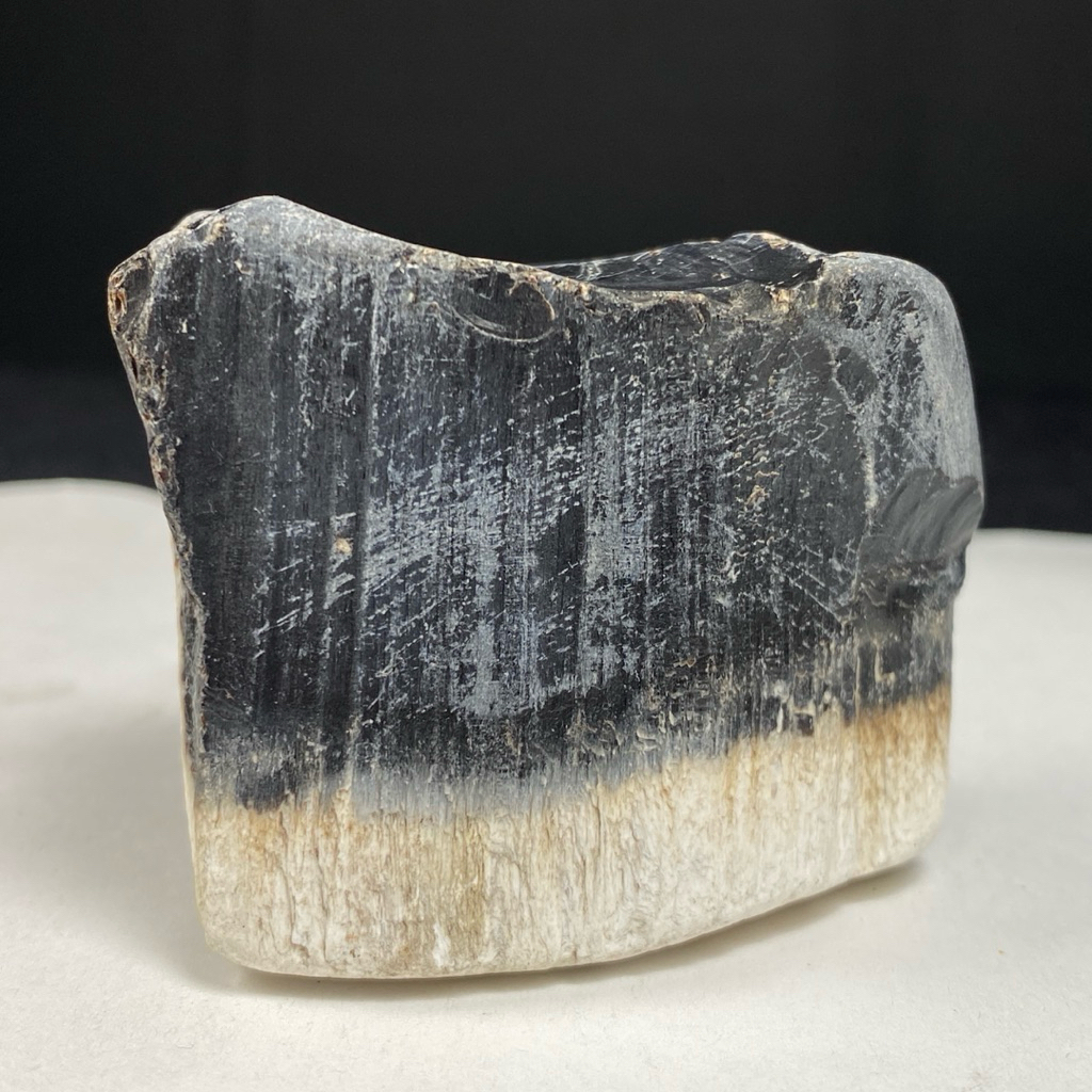 Natural Petrified Wood - Bongkahan Fosil Kayu Crystal Healing