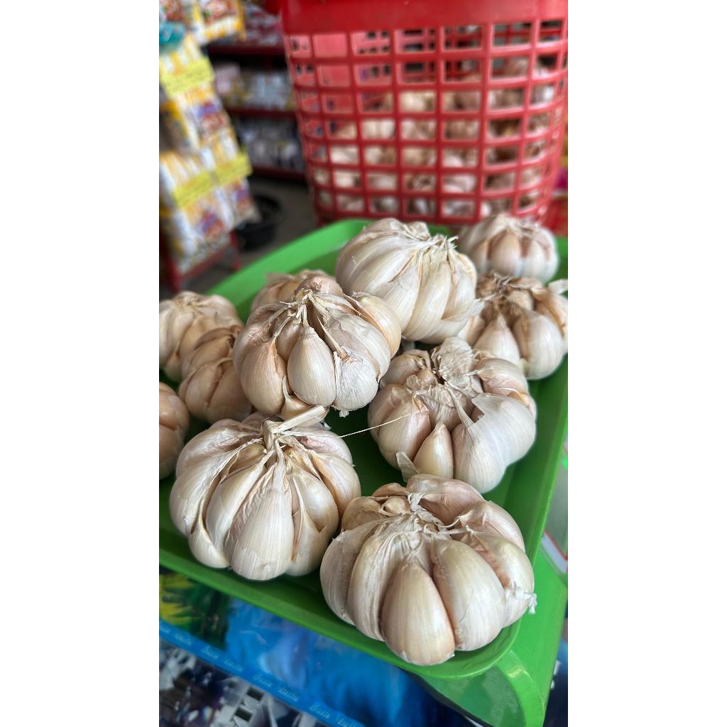 

BAWANG PUTIH LAKI 1KG KWALITAS SUPER KERING JUMBO