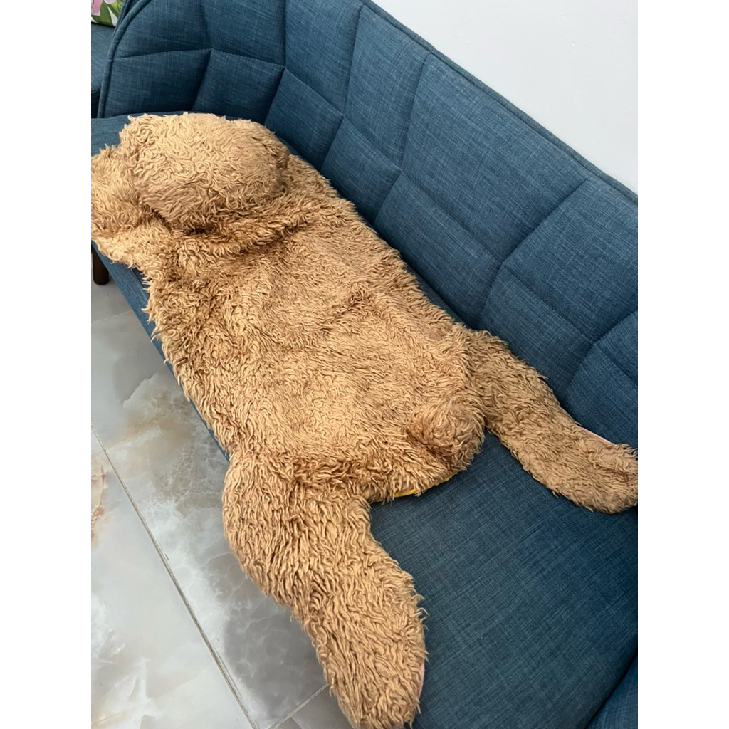 Keset, karpet beruang lucu second thrift prelove