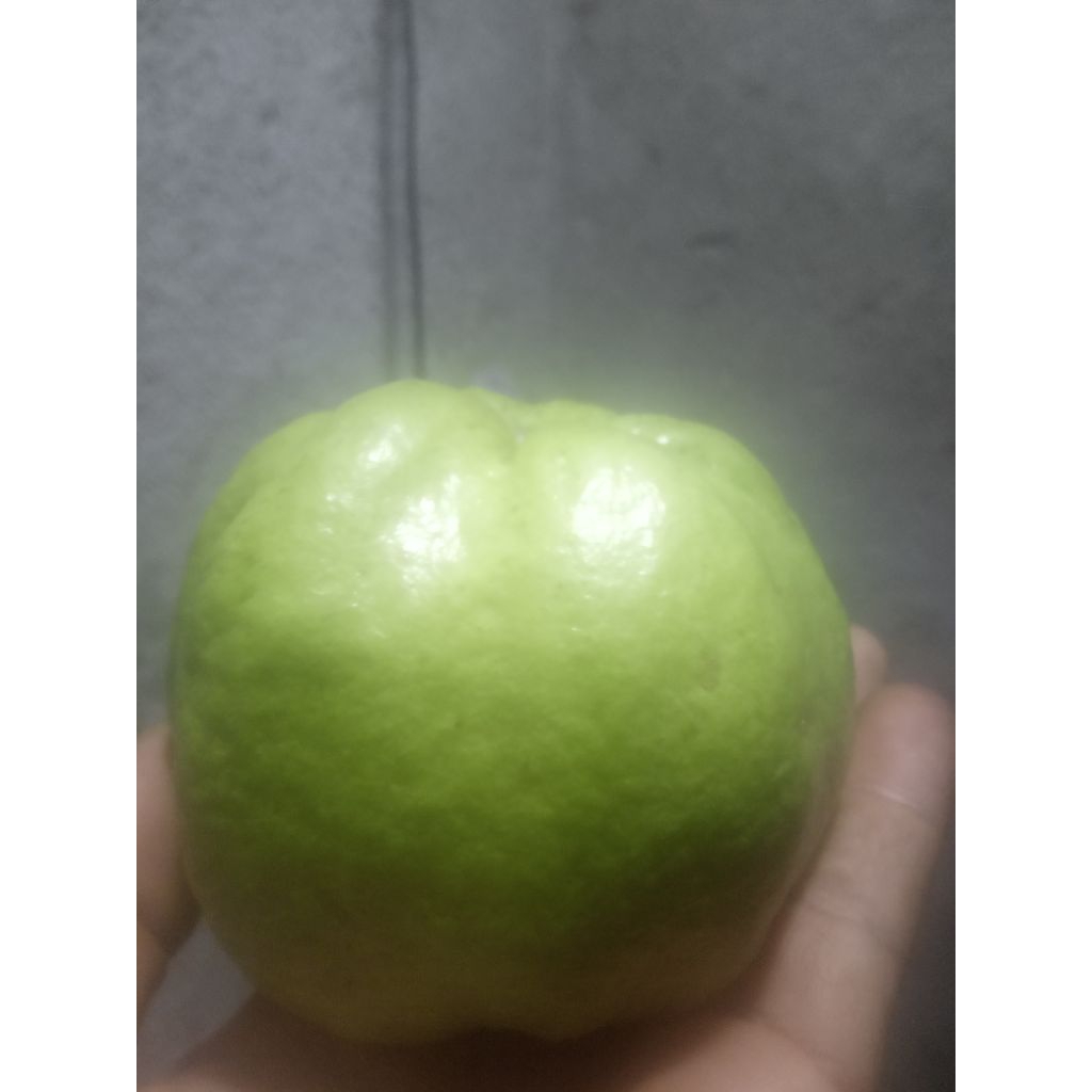 

jambu kristal 2KG