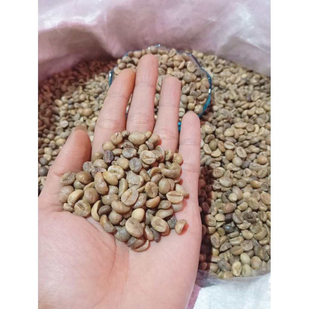 GREEN BEAN BIJI KOPI ROBUSTA LAMPUNG ASALAN PAKET 10KG HEMAT