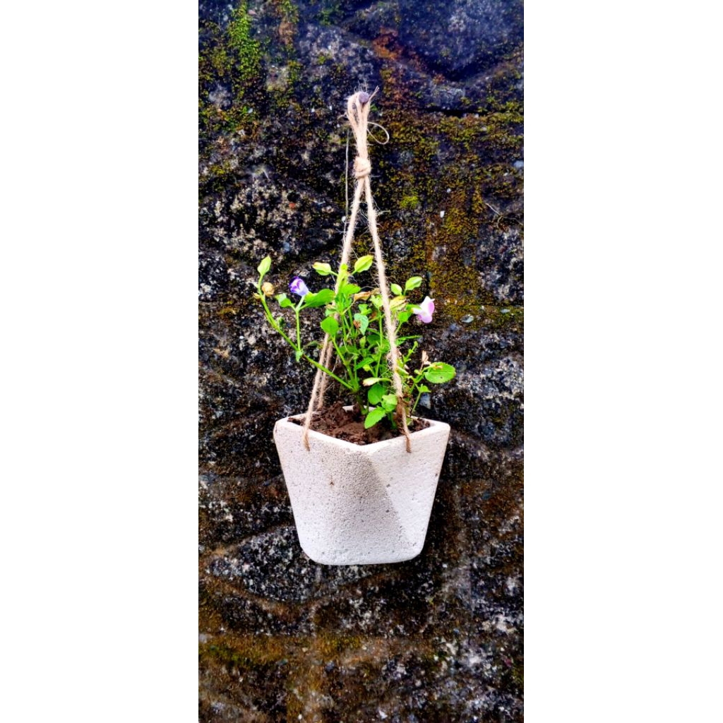 pot gantung estetik+ tanaman