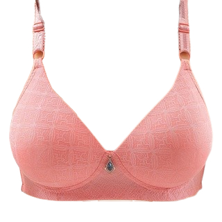 BH Wanita Bra jumbo Busa tanpa kawat Bra Big Size cup B size 36-42 READYSTOCK B042
